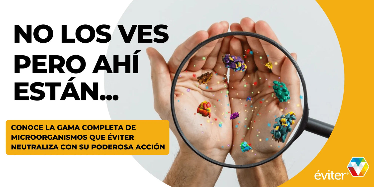 ¡No los ves pero ahí están!