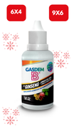 GASDEM-B® | GINSENG