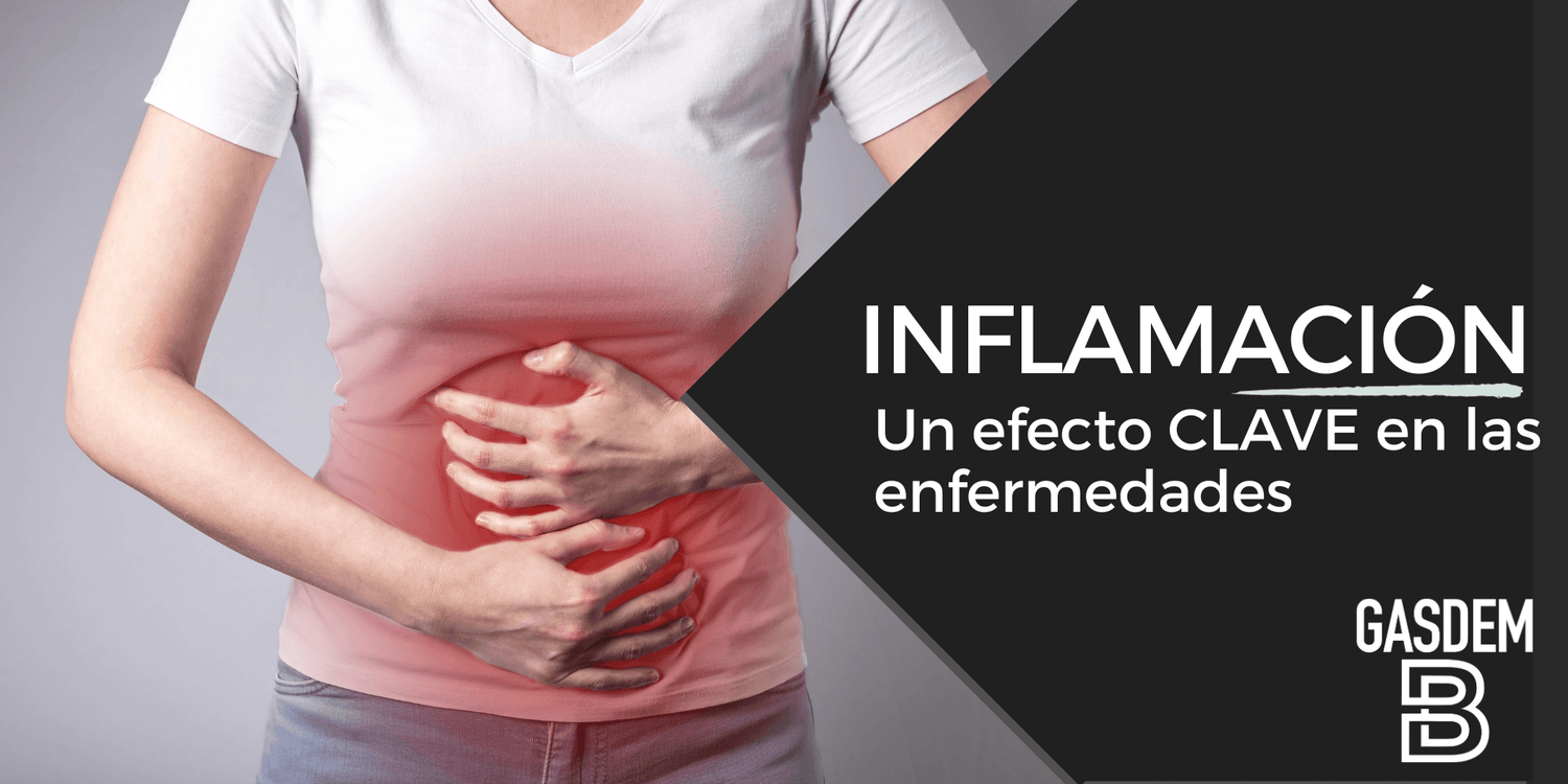 ¡La Inflamación: Un Efecto Clave en las Enfermedades! - Éviter - GasdemB