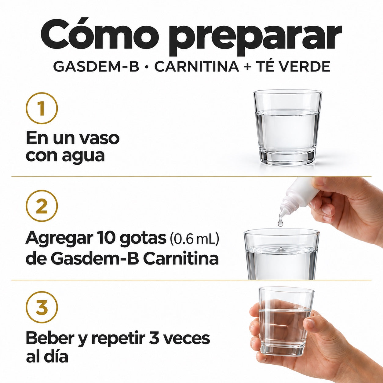 GASDEM-B® | CARNITINA + TÉ VERDE