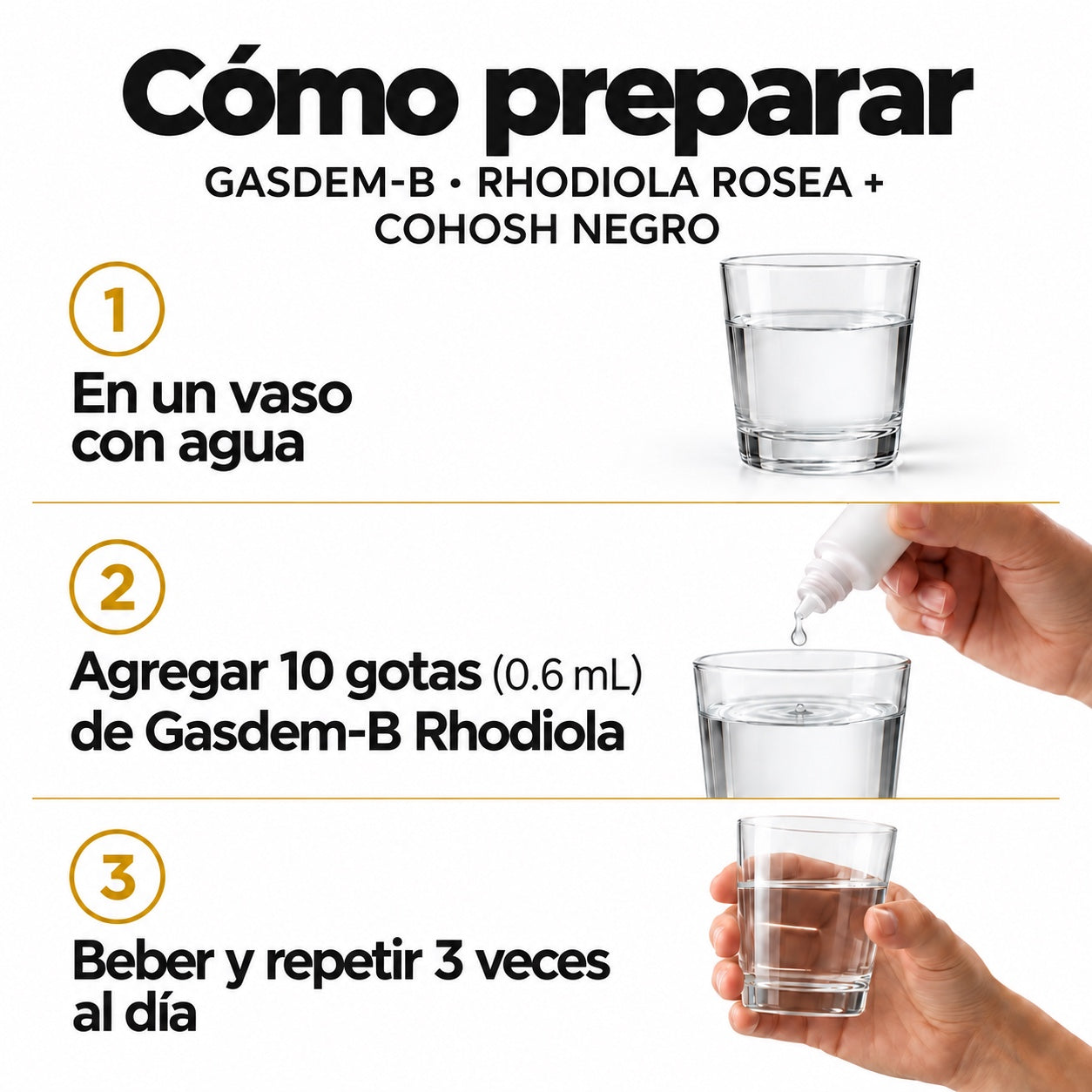 GASDEM-B® | RHODIOLA ROSEA + COHOSH NEGRO
